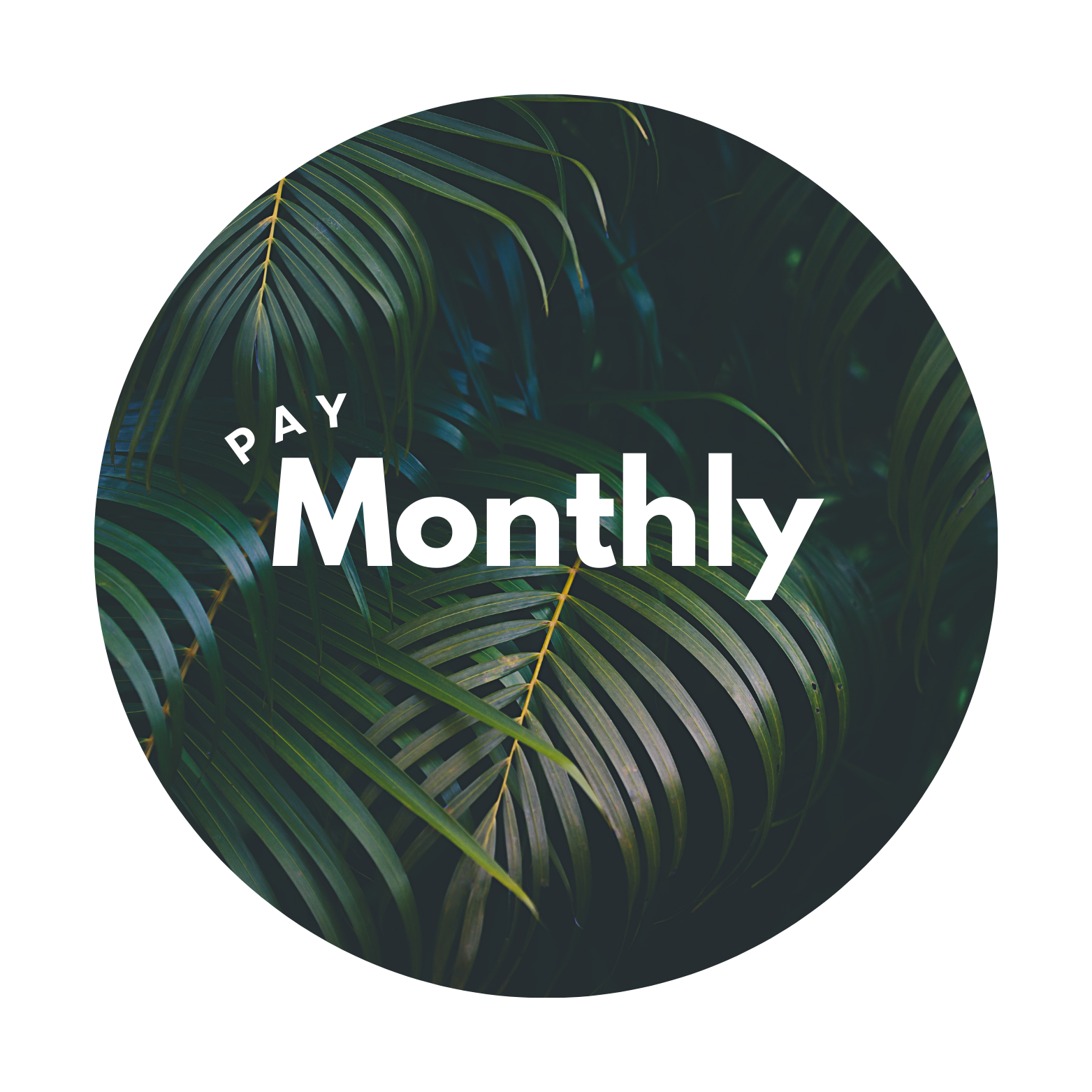 Monthly Subscription